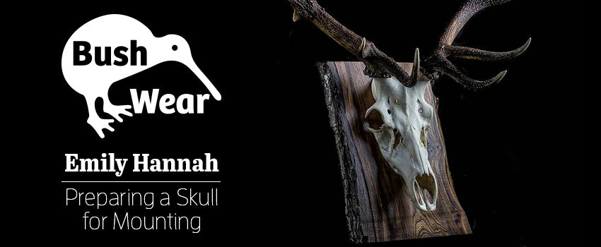 Preparing a Red Stag Trophy Skull for Wall Mounting