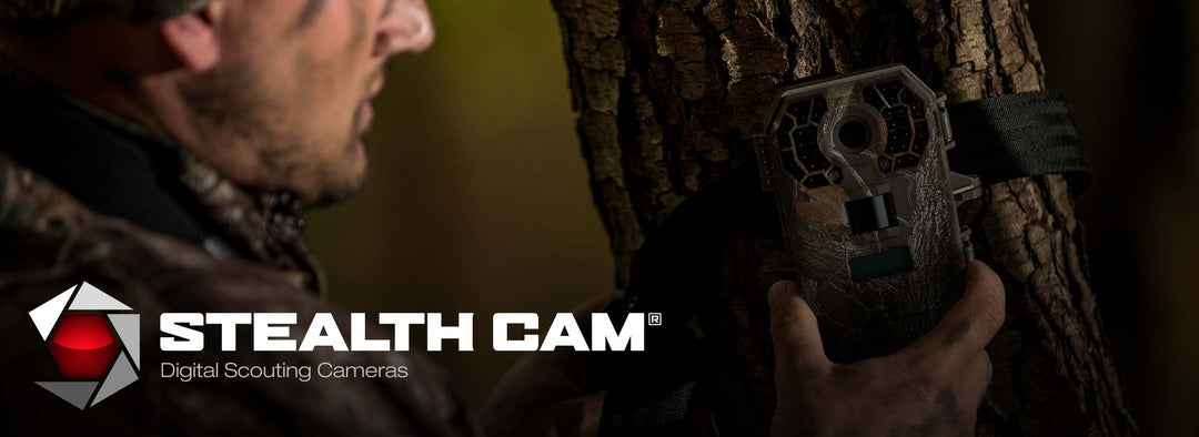 A Panther on the premises? Then use a Stealth Cam.