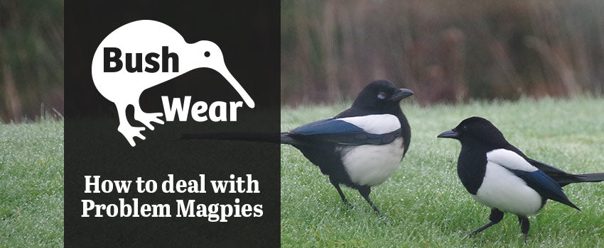 How to deal with problem Magpies