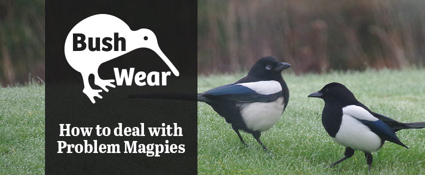 How to deal with problem Magpies – BushWear