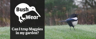 Can I trap magpies in my garden?