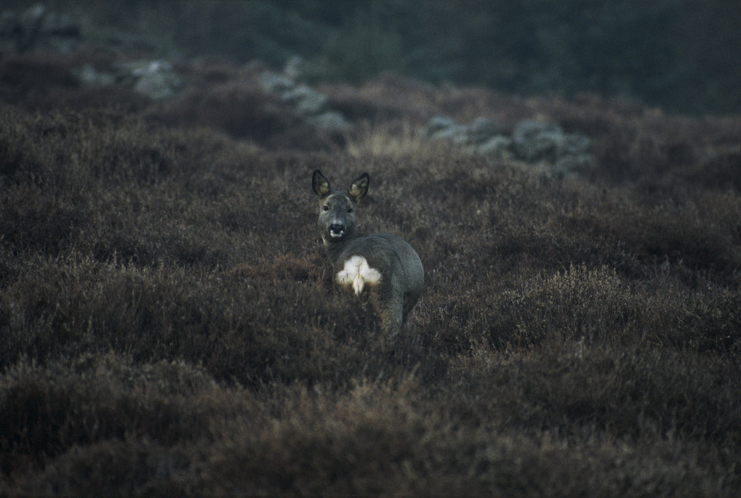 Do I Need to Erect Signs Warning Others of My Stalking Activities?