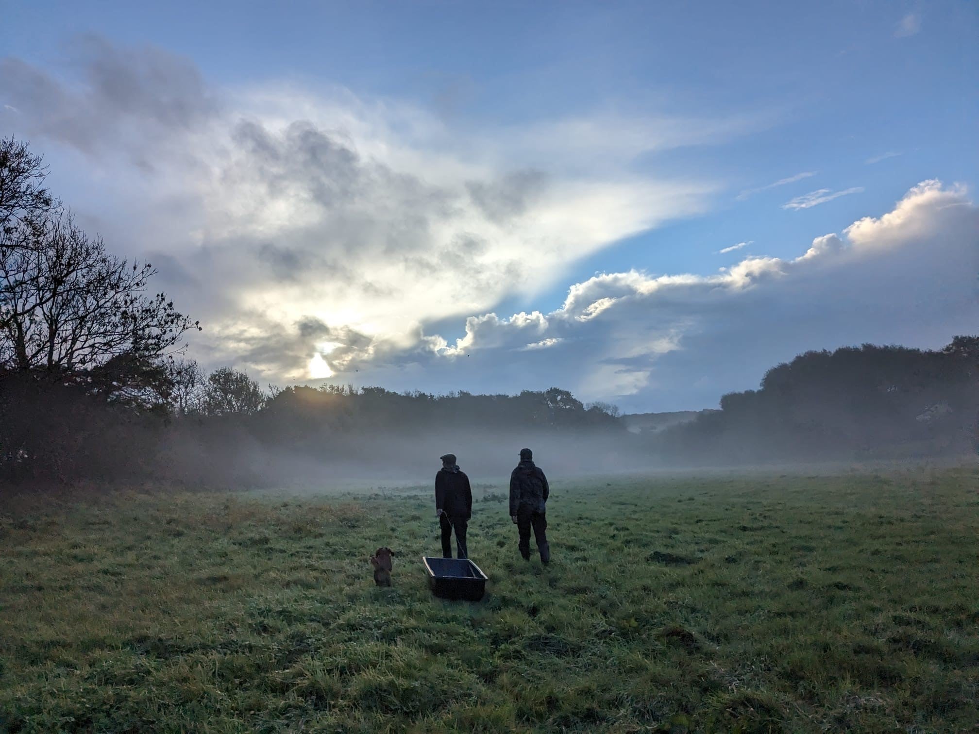 Deer Stalking Qualifications Explained: A Guide to DSC1 and DSC2