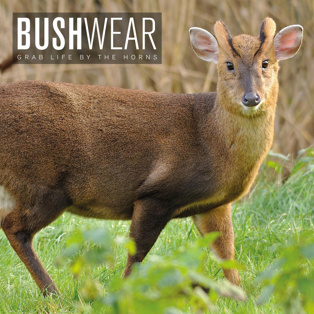 BushWear Muntjac Target Posters (4 pack)