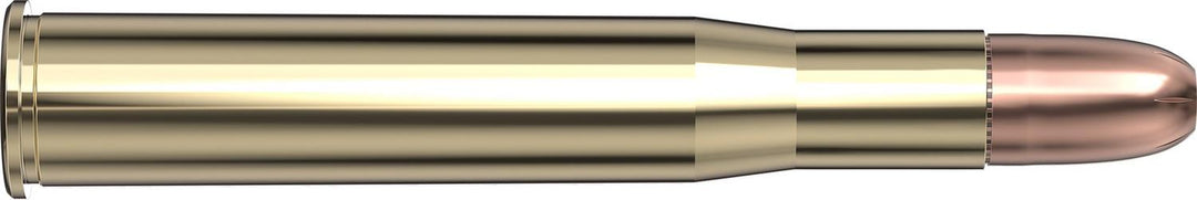 Hornady .450-400 Nitro Express 3" 400gr DGX BONDED Ammunition