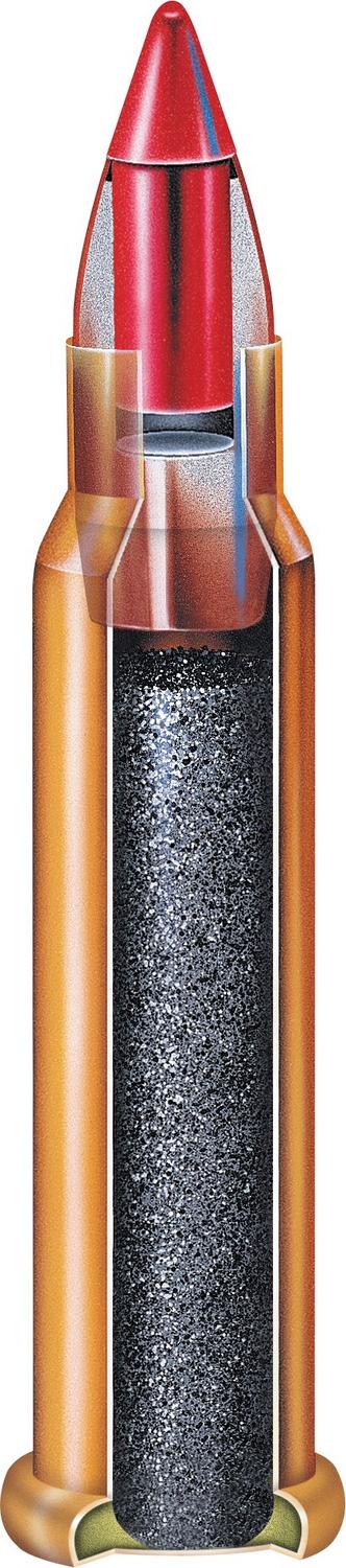 Hornady .22 WMR 30gr V-MAX Ammunition