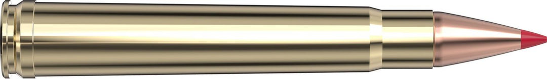 Hornady .375 H&H Magnum 250gr CX Ammunition