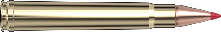 Hornady .375 H&H Magnum 250gr CX Ammunition