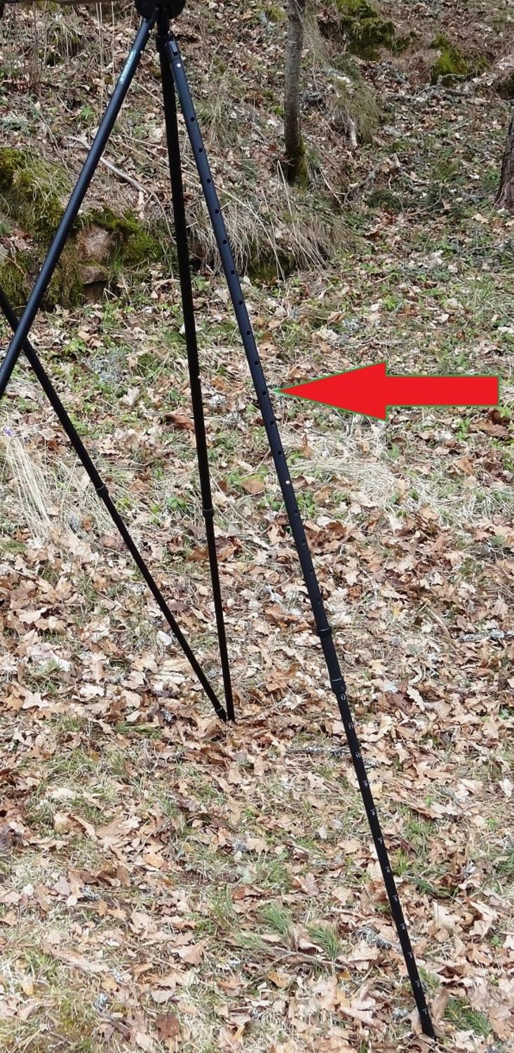 Lifestyle shot: Viper-Flex shooting sticks standing on woodland leaf litter, with a red arrow pointing to the added Styx Elite+ single support leg at the rear.