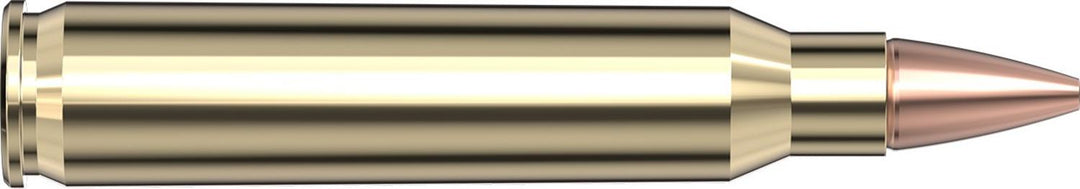Hornady .223 Rem 50gr CX Ammunition