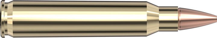 Hornady .223 Rem 50gr CX Ammunition