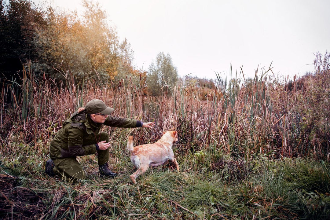 Lifestyle shot in rough grass: a shooter in olive Seeland clothing crouching beside a dog retrieving a bird, autumn scrub behind.