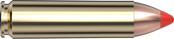Hornady .450 Bushmaster 250gr FTX Ammunition