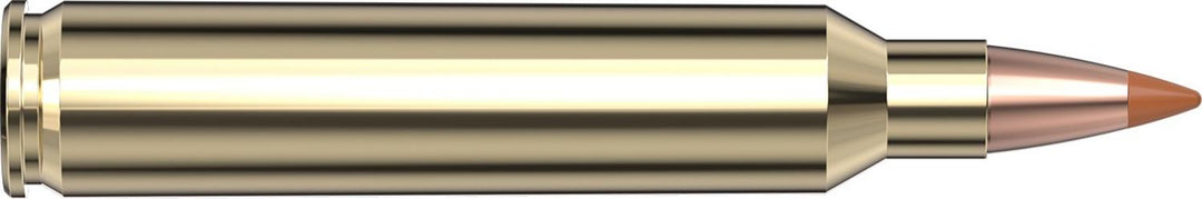 Hornady .204 Ruger 24gr NTX Ammunition