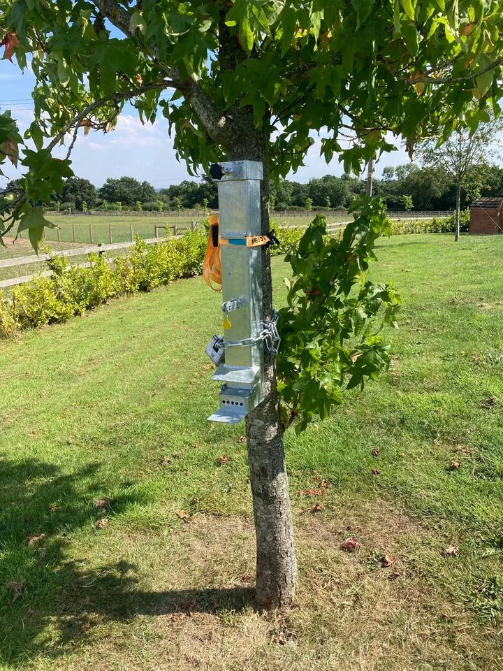 Tom's Targets Squirrel Feeder