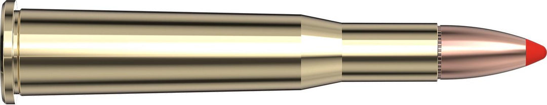 Hornady .25-35 Win 110gr FTX Ammunition