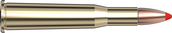 Hornady .25-35 Win 110gr FTX Ammunition