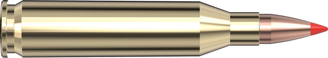 Hornady .243 Win 75gr V-MAX Ammunition