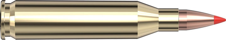 Hornady .243 Win 75gr V-MAX Ammunition