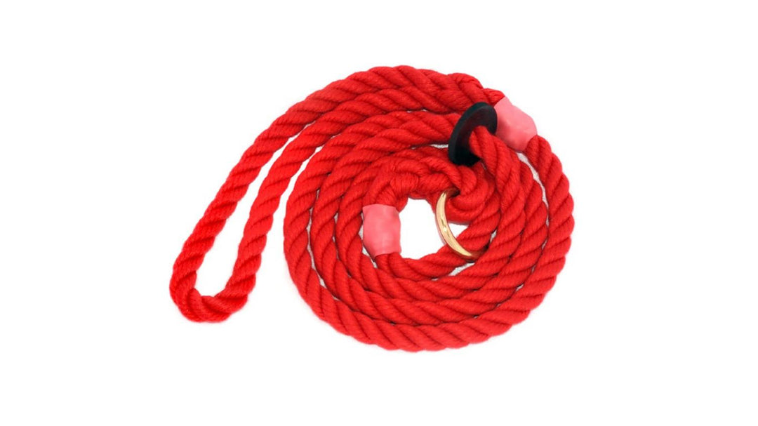 Bisley Elite Slip Lead Red gundog lead
