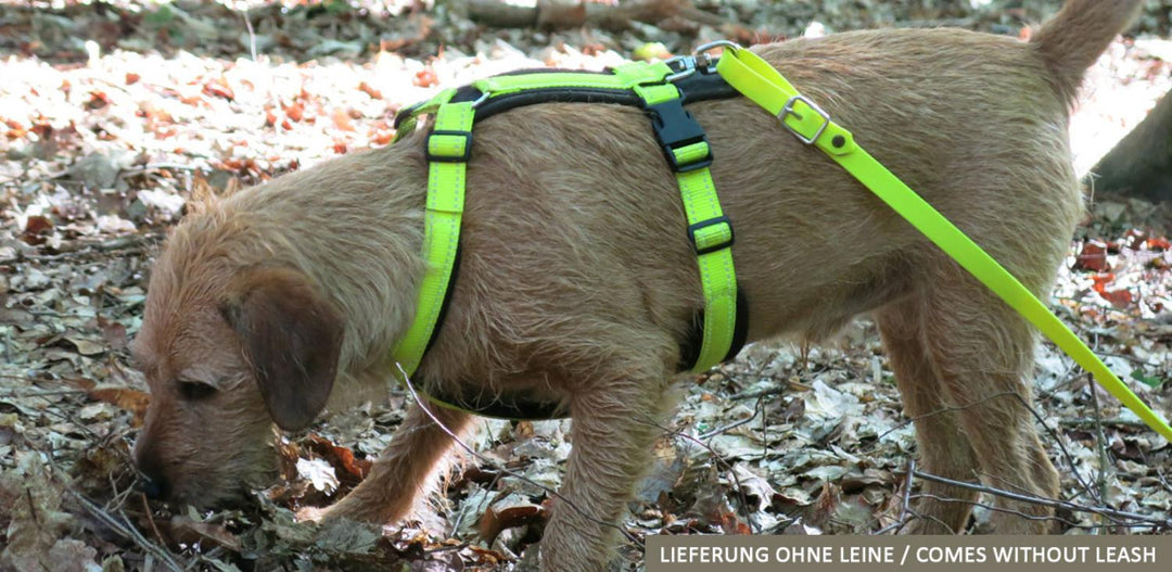 Harness Tracker neon yellow
