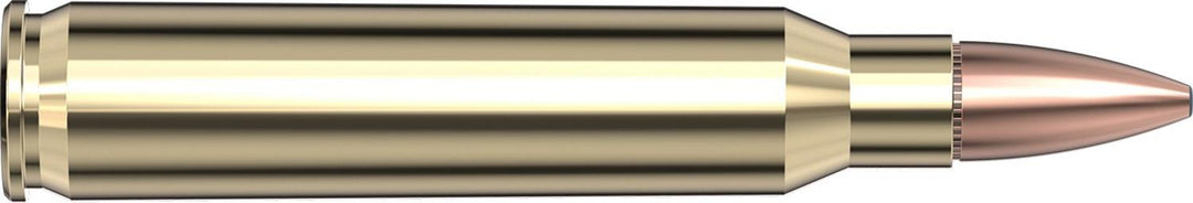 Hornady .223 Rem 55gr FMJ-BT W/C Ammunition