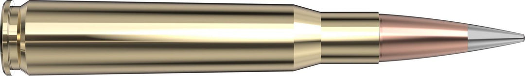 Hornady .50 Bmg 750gr A-TIP MATCH Ammunition