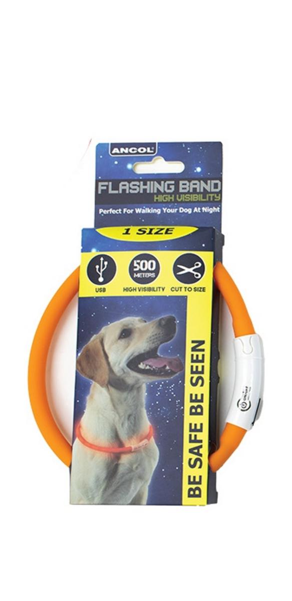 Bisley Collar Flashing LED Rechargeable USB