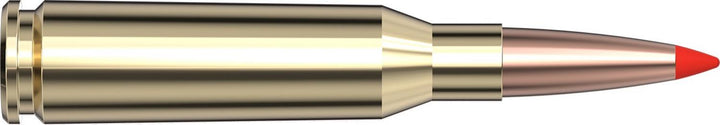 Hornady .5.45x39 60gr V-MAX Ammunition