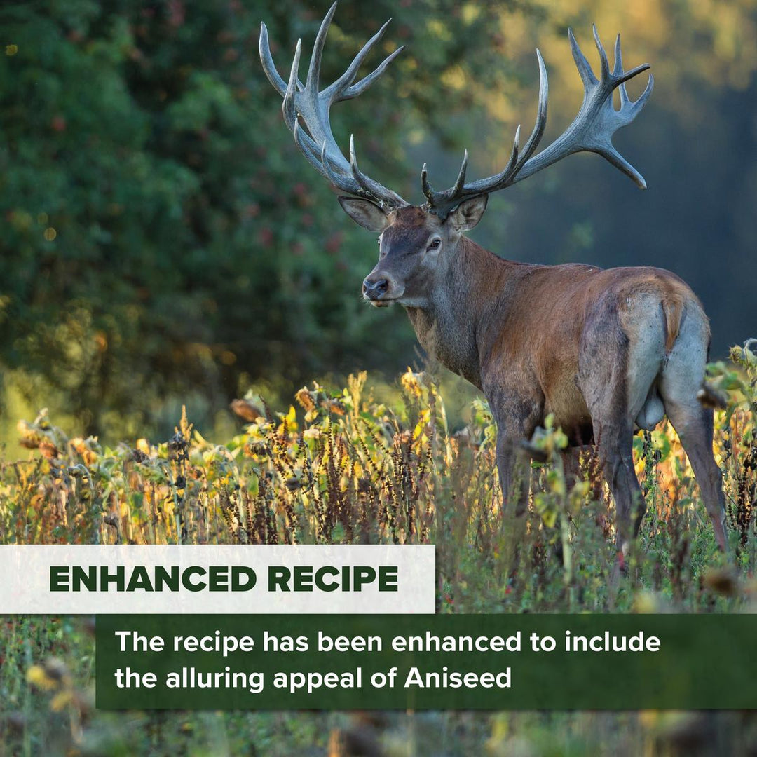 BushWear Box of 2 10kg Anis salt blocks Aniseed