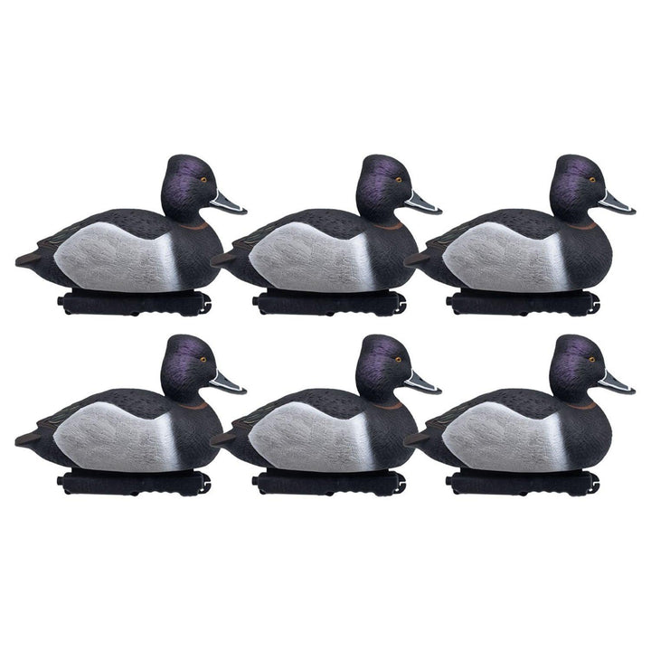 Final Approach LIVE Foam Filled Ring-Necks, 6 Pack