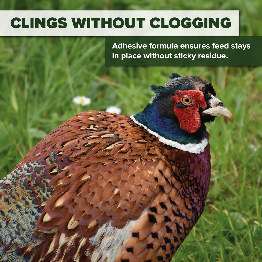 BushWear Master Bait Mix for Game Birds