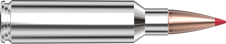 Hornady .300 WSM 180gr CX Ammunition