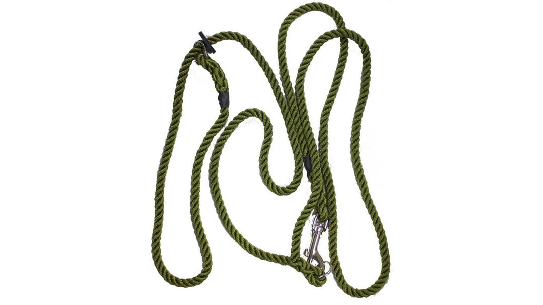 Bisley Hunting and Training Dog Lead
