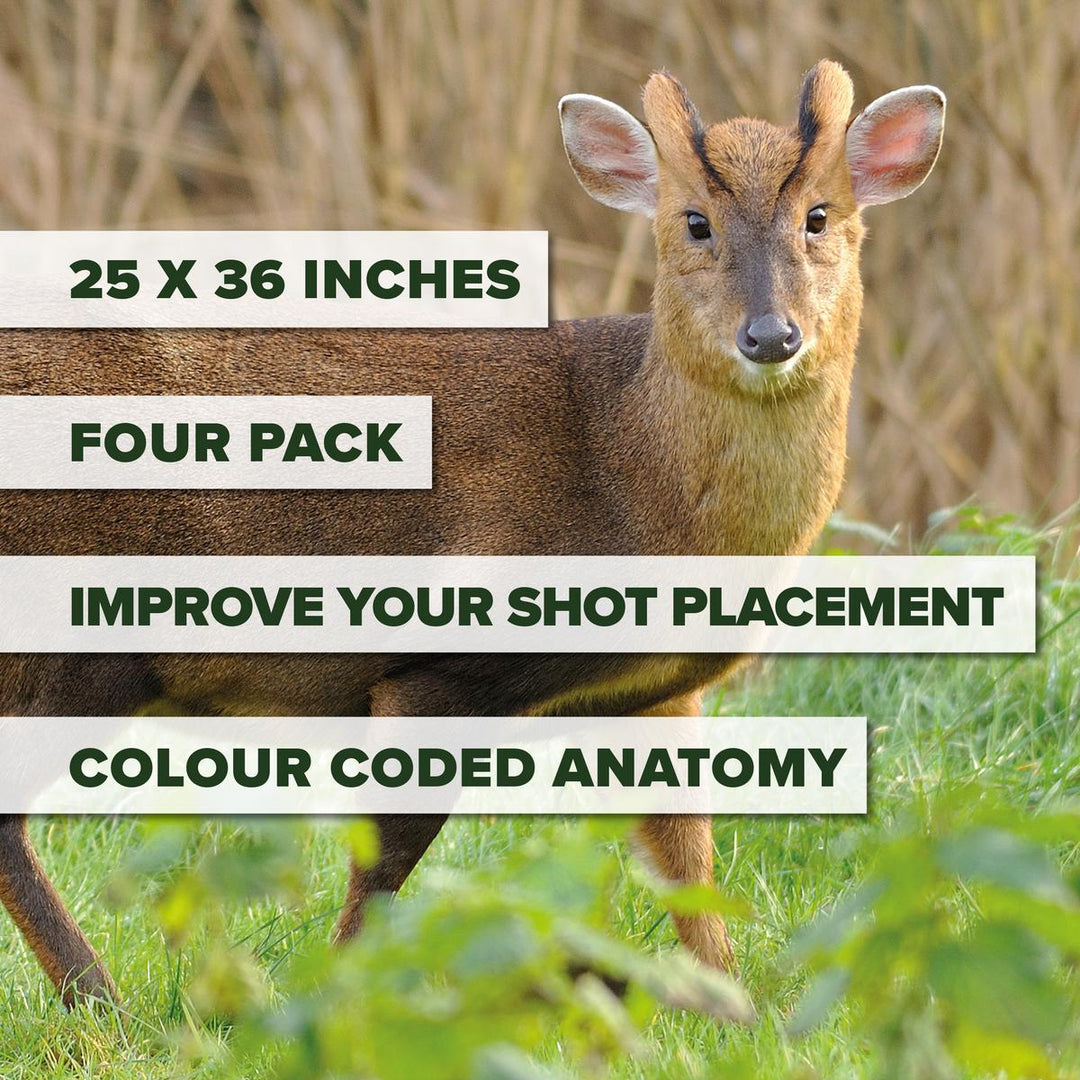 BushWear Muntjac Target Posters (4 pack)