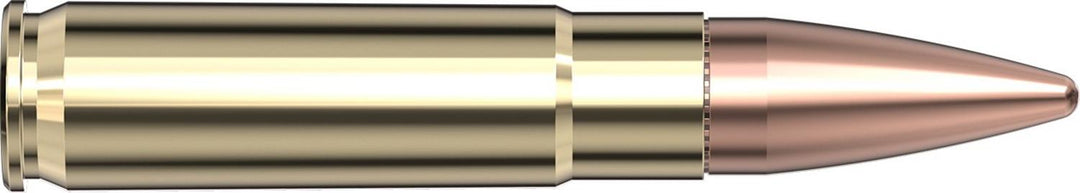 Hornady .300 Blackout 125gr FMJ Ammunition