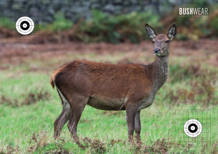 BushWear Red Deer Hind Double-Sided Targets 4 Pack