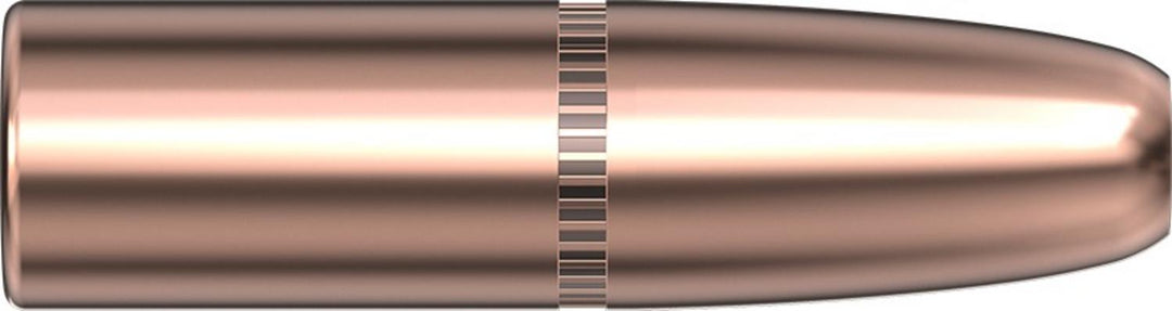 Hornady 9.3mm .366 300 gr DGS