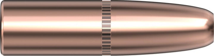 Hornady 9.3mm .366 300 gr DGS