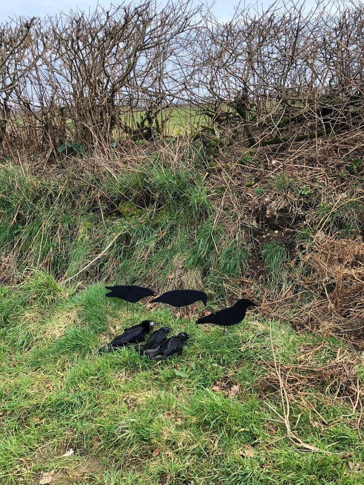 Final Approach FA-194002 Last Pass Fully Flocked Crow Decoys - 3 Pack