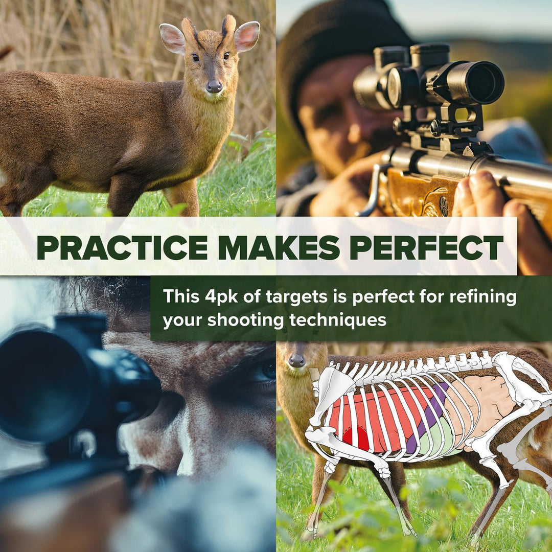 BushWear Muntjac Target Posters (4 pack)