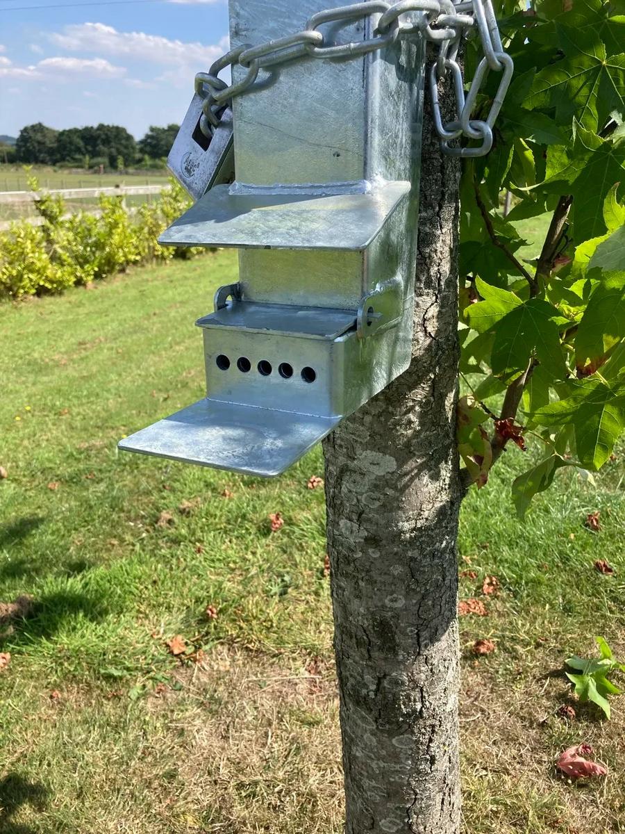 Tom's Targets Squirrel Feeder
