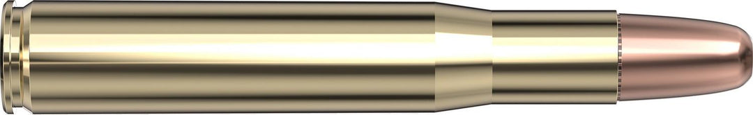 Hornady .404 Jeffery 400gr DGS Ammunition
