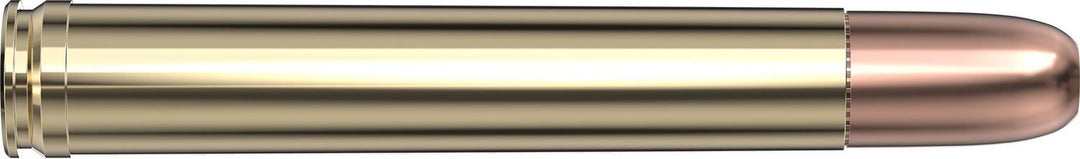 Hornady .458 Lott 500gr DGS Ammunition