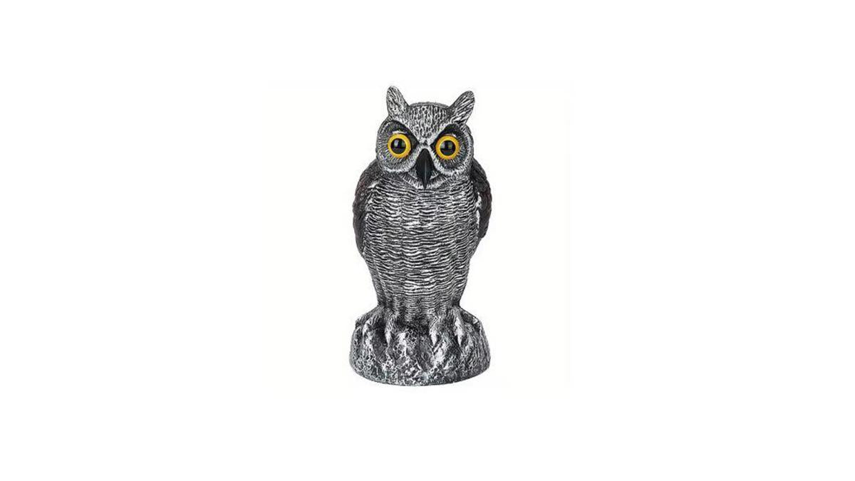 Sport Plast Little Owl Decoy - Non-Flapping – BushWear