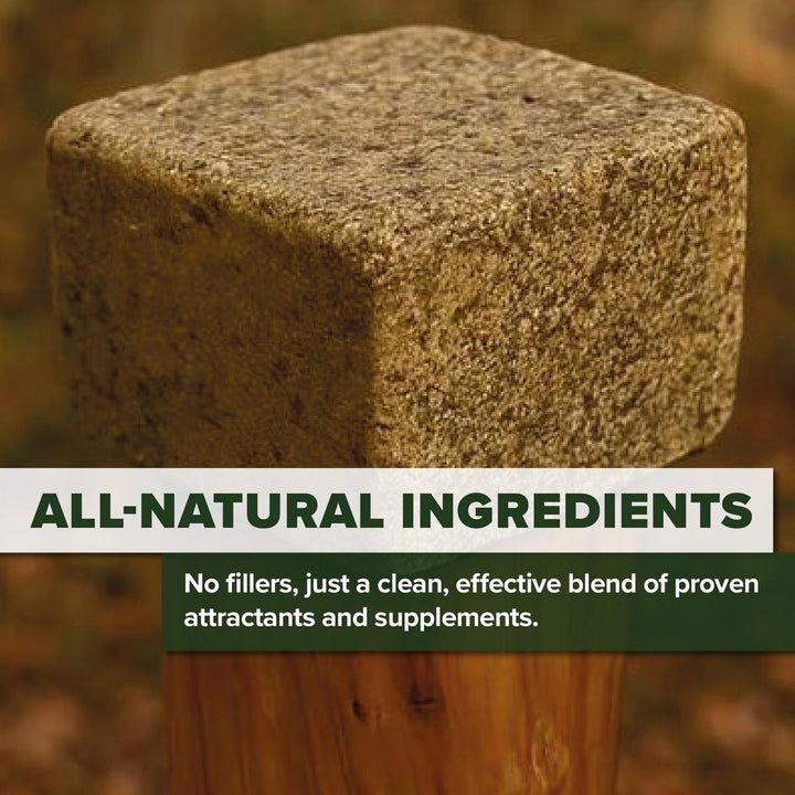 BushWear BigBoy Brick Deer Food Block 10kg