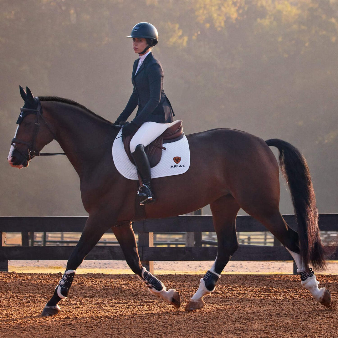 Ariat Ladies Allure Show Jacket – view 6