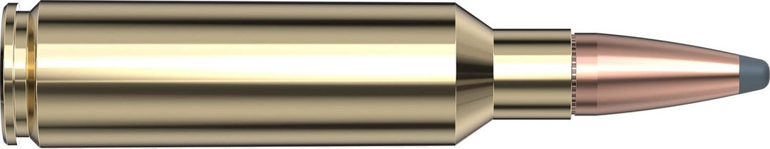 Hornady .300 WSM 165gr INTERLOCK Ammunition