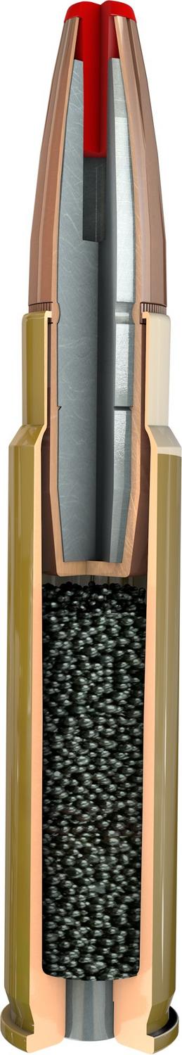 Hornady .450 Bushmaster 395gr SUB-X Ammunition – view 2