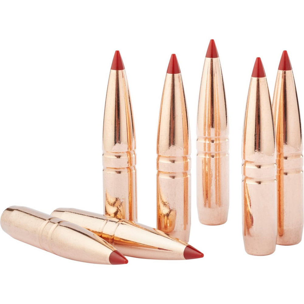 Hornady 30 Cal .308 110 gr CX – view 2